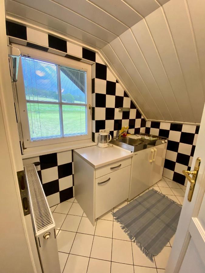 Appartements Wieseneck - Ramsau Am Dachstein - Inklusive Sommercard ! Рамзау Экстерьер фото