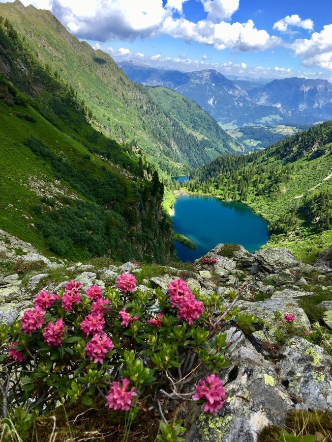 Appartements Wieseneck - Ramsau Am Dachstein - Inklusive Sommercard ! Рамзау Экстерьер фото