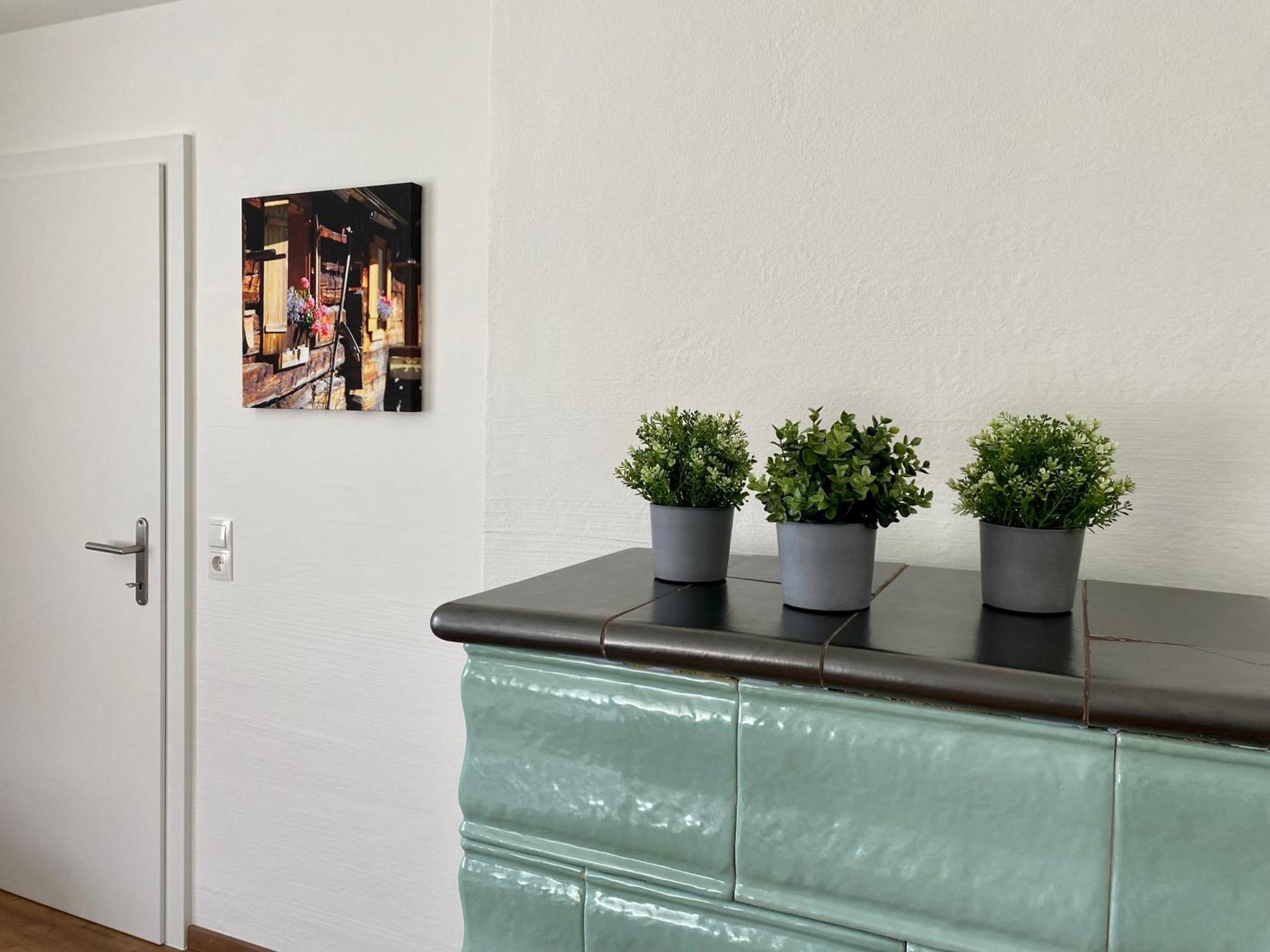 Appartements Wieseneck - Ramsau Am Dachstein - Inklusive Sommercard ! Рамзау Экстерьер фото