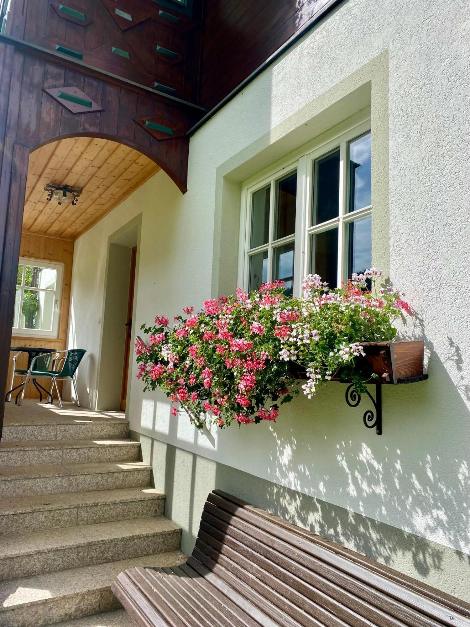 Appartements Wieseneck - Ramsau Am Dachstein - Inklusive Sommercard ! Рамзау Экстерьер фото